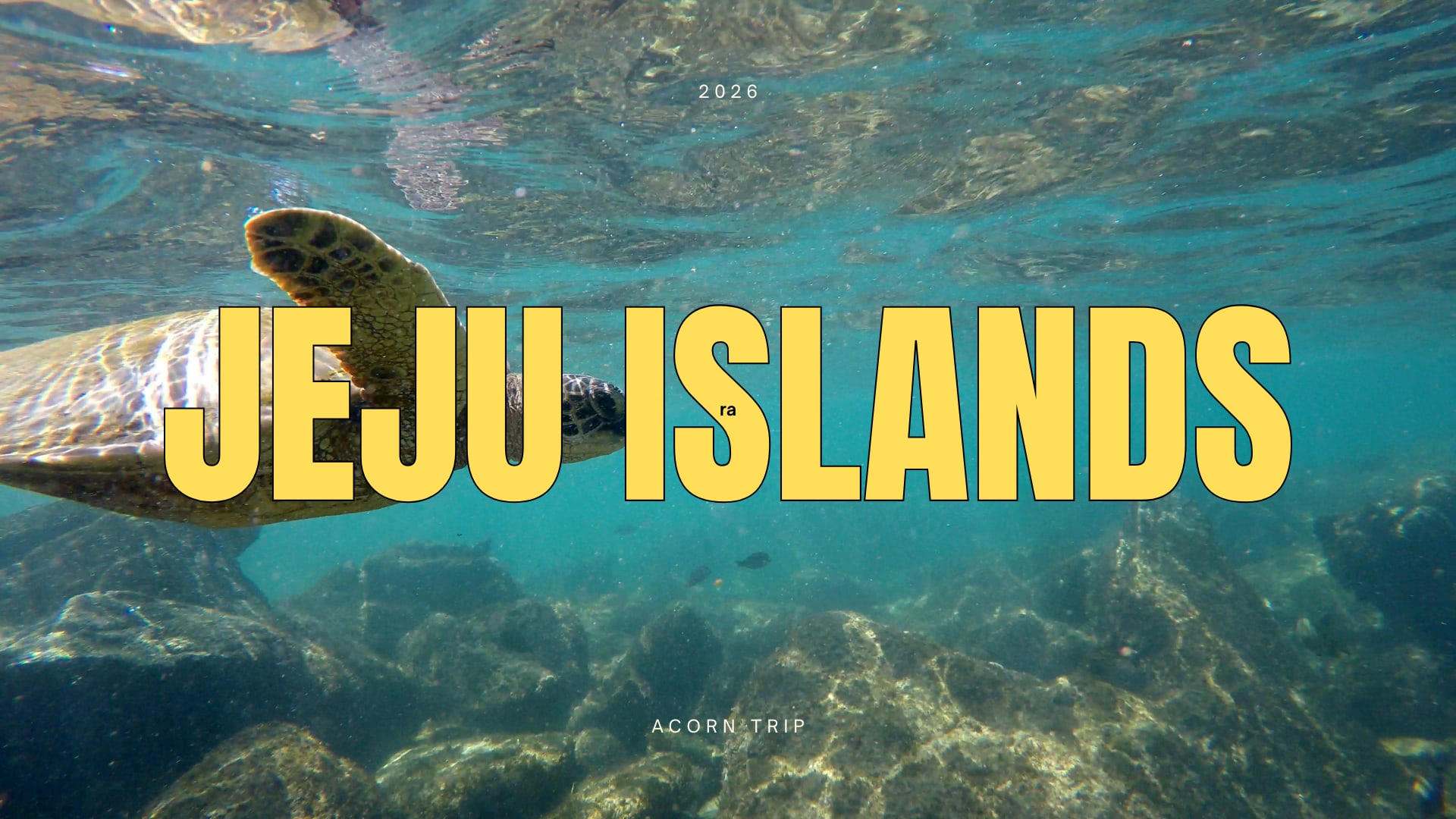JEJU ISLANDS 2026 · Acorn Trip · 微島計畫《息・濟》